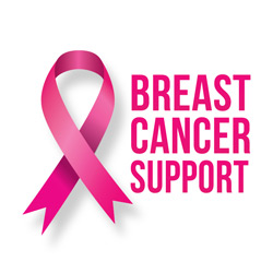 Breast Cancer Support charity logo