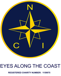The National Coastwatch Institution charity logo