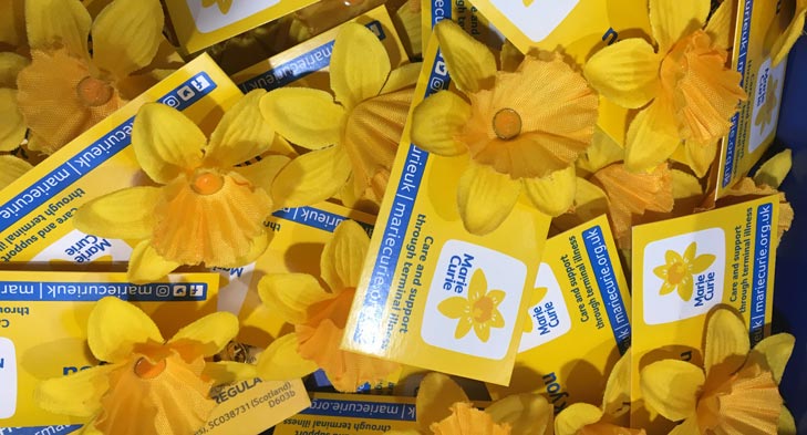 Marie Curie Great Daffodil Appeal