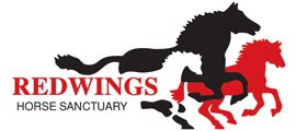 Redwings Horse Sanctuary charity logo