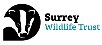 Surrey Wildlife Trust charity logo